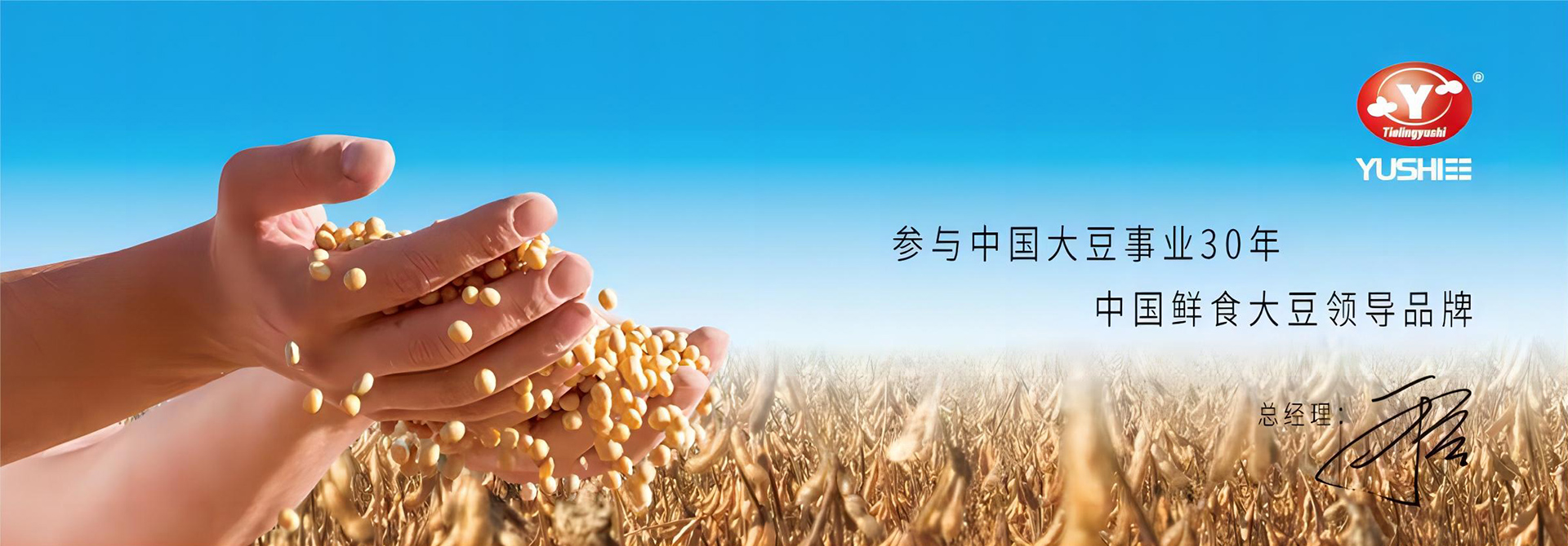 通栏图片